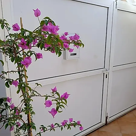 Hotel Dani 3*